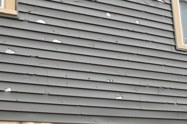 Trusted North Alamo, TX Siding Installation & Repair Experts