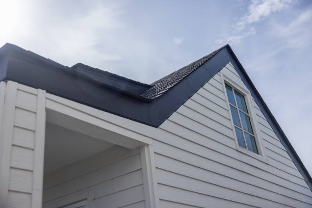 Best Fascia and Soffit Installation  in North Alamo, TX